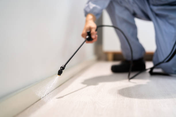Licensed Termite Control service in St. Elmo, IL - Nex Pest Control