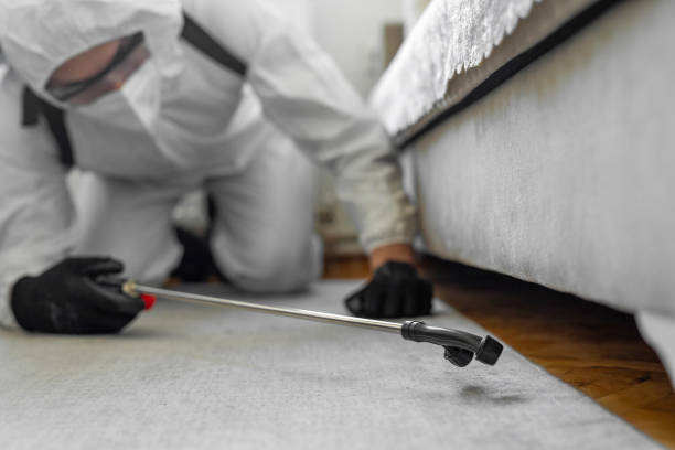 Professional Termite Control technician working in St. Elmo, IL