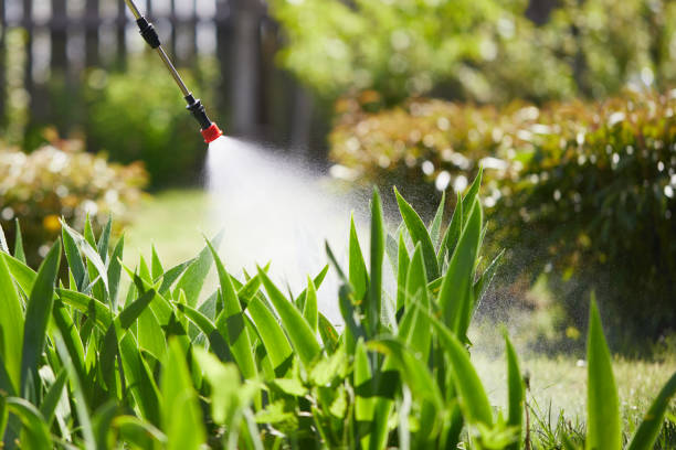 24/7 Emergency Termite Control experts in St. Elmo, IL