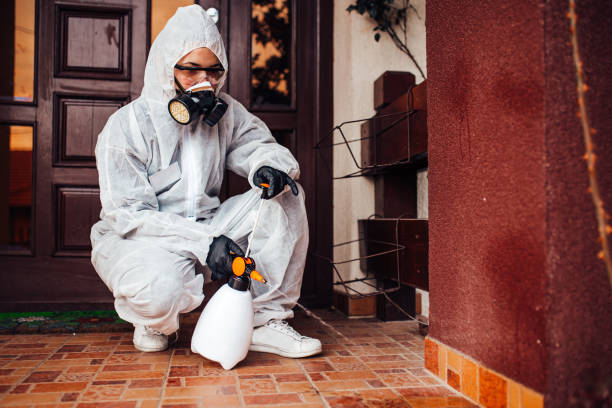 Reliable Termite Control contractor in St. Elmo, IL by Nex Pest Control