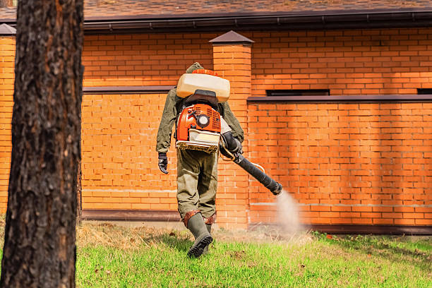 Top rated local Termite Control specialists in St. Elmo, IL